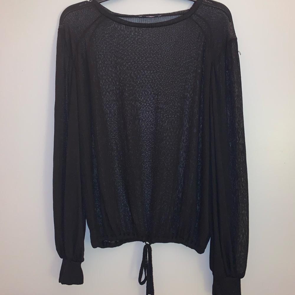 Zara Sheer Black Long Sleeve Top